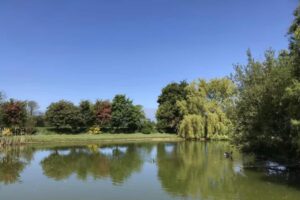 55bc4385-d8a6-438f-a0b1-87be6e4fbbc9